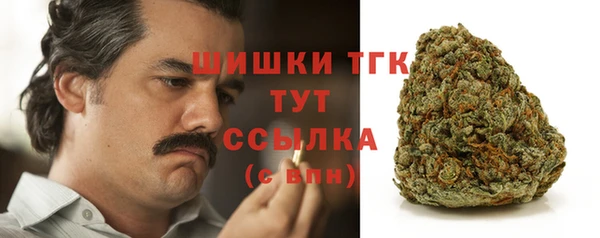 дмт Белокуриха