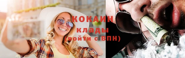 спайс Новодвинск