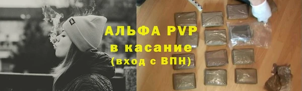 дмт Белокуриха