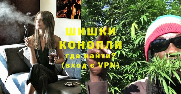 PSILOCYBIN Новокубанск
