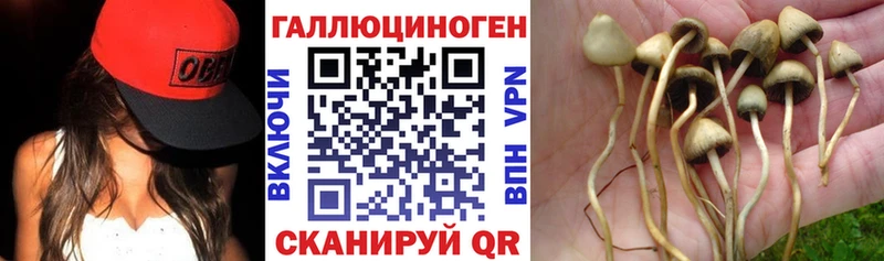 Псилоцибиновые грибы ЛСД  kraken зеркало  Курильск  наркотики 